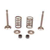 Valve Kit 5993490-42 Valve Kit 5993490-42