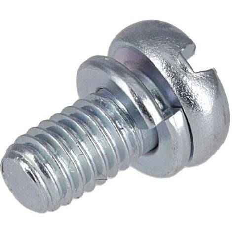 Screw