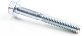 Screw Screw
