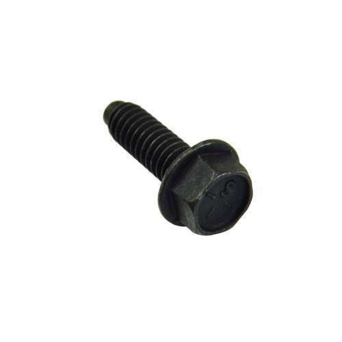 Screw