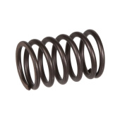 Spring-Exhaust valve Spring-Exhaust valve