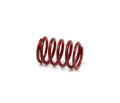 Spring-Exhaust valve Spring-Exhaust valve
