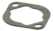 Gasket Briggs Gasket Briggs