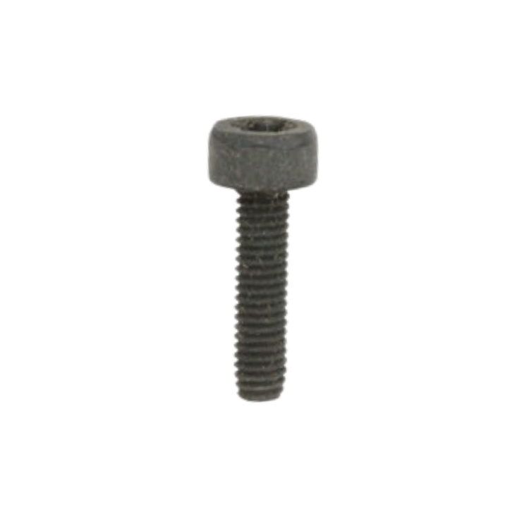 Screw M4 X 25 7255297-01
