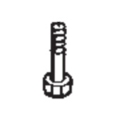 Screw Screw