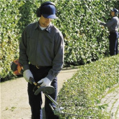 Husqvarna 525HF3S Pole hedge trimmer Husqvarna 525HF3S Pole hedge trimmer