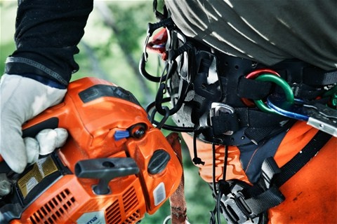 Husqvarna T525 Chainsaw