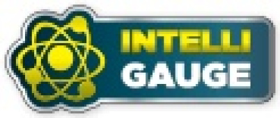 Champion 2800 Watt Dual Fuel Generator With Electric Start